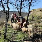 Σπίτι διακοπών Fount De Cousteno *