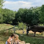 Fount De Cousteno Σπίτι διακοπών Limbrassac
