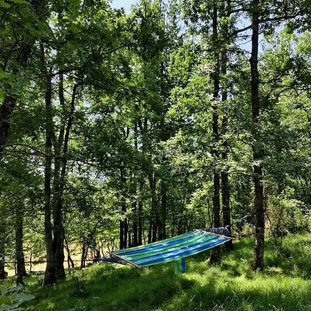 Hébergement de vacances Fount De Cousteno Limbrassac
