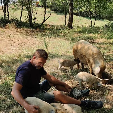 Fount De Cousteno * Limbrassac