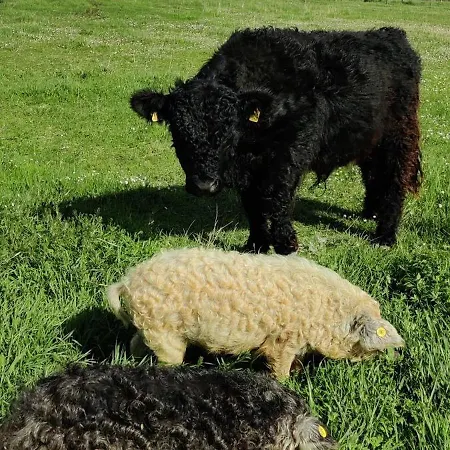 別荘 Fount De Cousteno