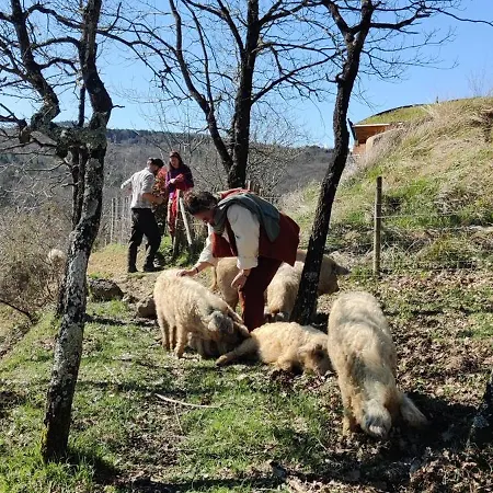 Tatil Evi Fount De Cousteno *