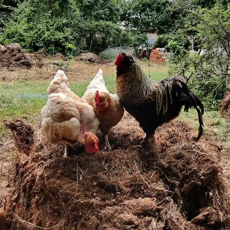 Fount De Cousteno Vakantiehuis *