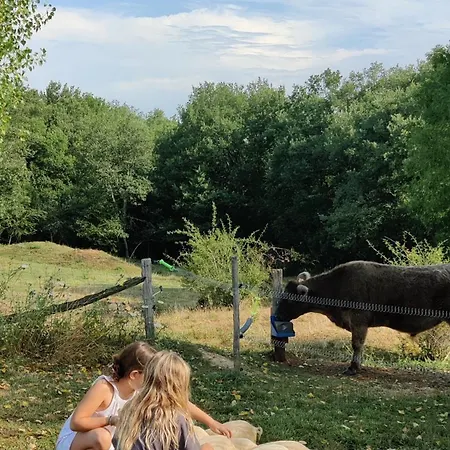 Fount De Cousteno 別荘 Limbrassac