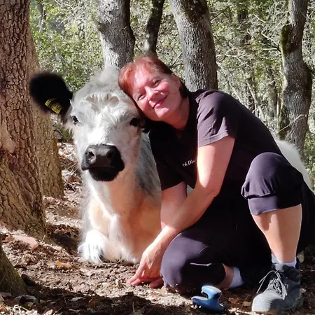 別荘 Fount De Cousteno