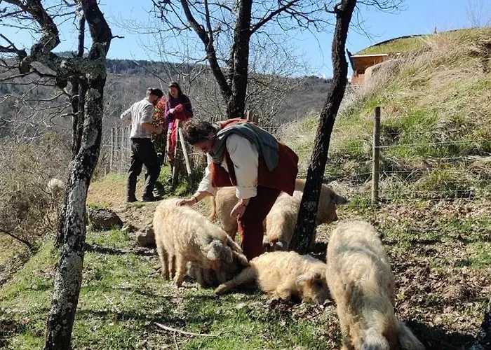 Vakantiehuis Fount De Cousteno *