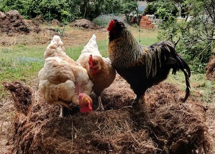 Fount De Cousteno Vakantiehuis *