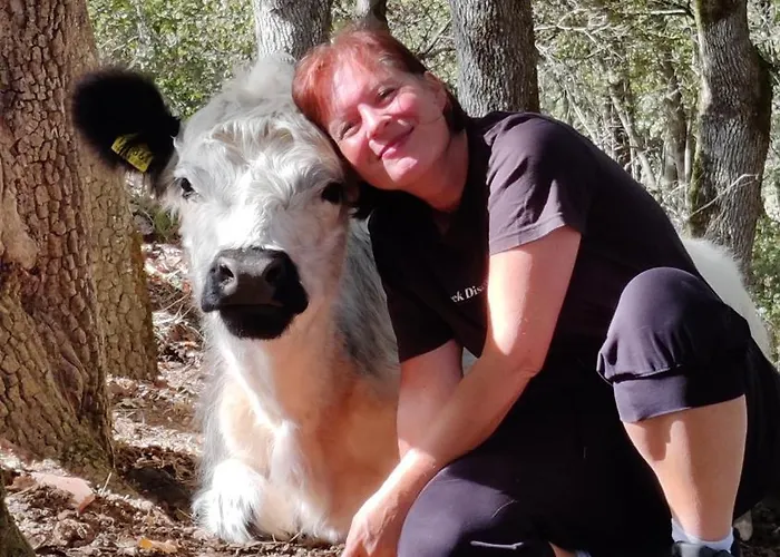 Vakantiehuis Fount De Cousteno